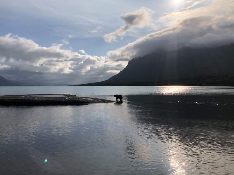 Lake_Bear_Lund