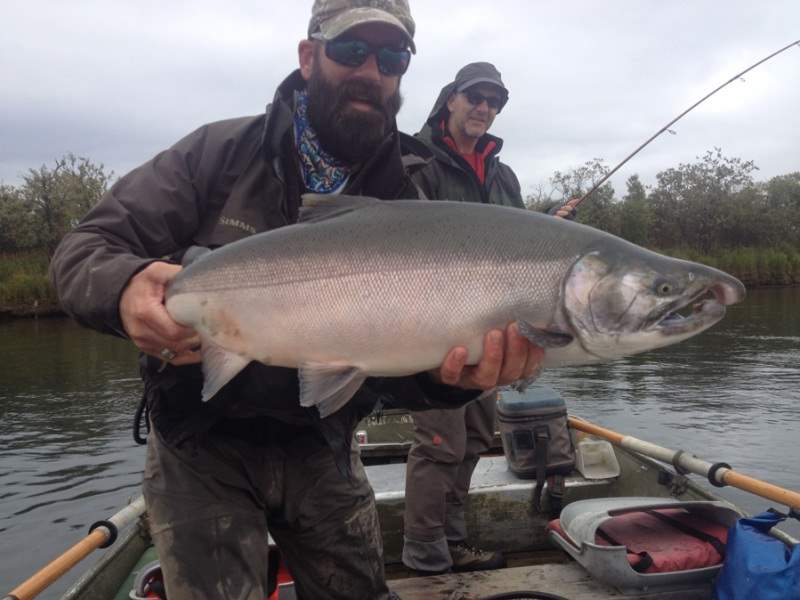 Western Alaska Silver Salmon