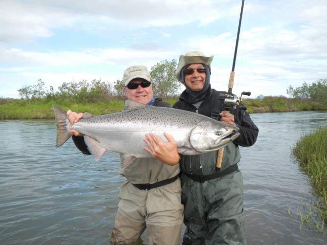 Togiak River King Salmon landed at Mission Lodge in Bristol Bay Alaska