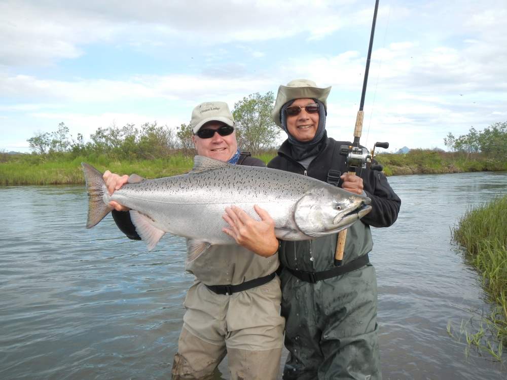 Togiak River King Salmon landed at Mission Lodge in Bristol Bay Alaska